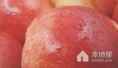 甜油桃|甜油桃主要介绍甜油桃的优良品种